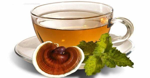 Giảm cân bằng linh chi Hàn Quốc