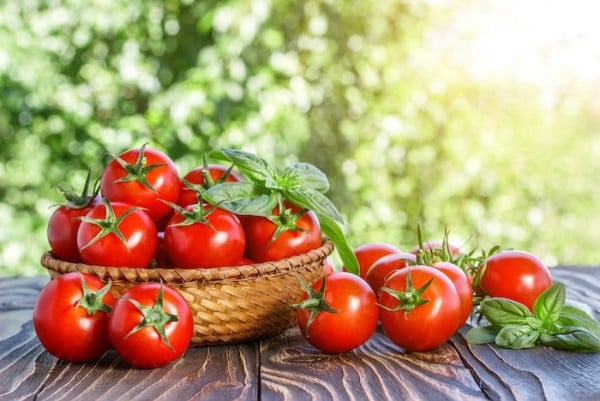 Cà chua giúp làm đẹp da và giảm mỡ