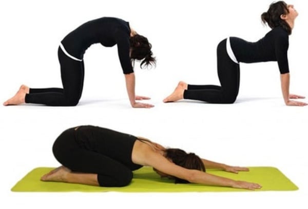 Tư thế bò mèo yoga giúp giảm mỡ lưng