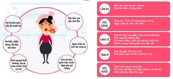 Hàm lượng estrogen cao