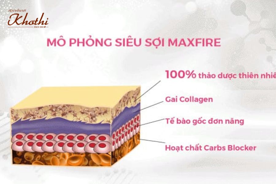 hút mỡ ở khơ thị