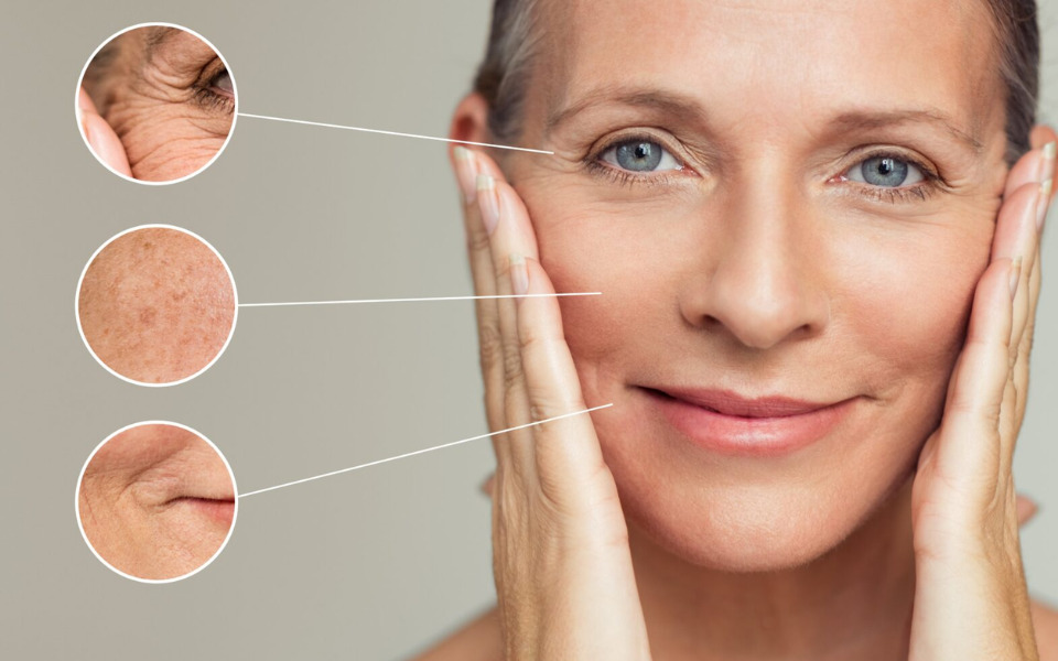 elastin phù hợp với da lão hóa