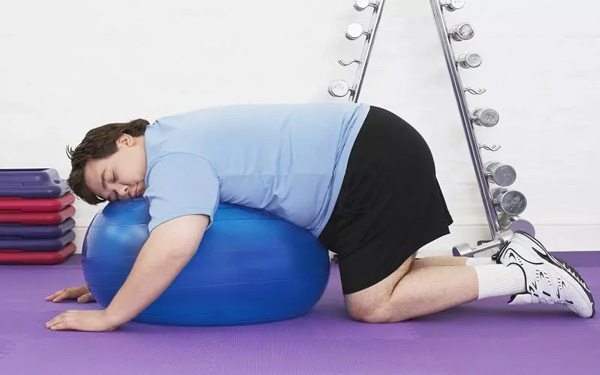 Lười vận động khiến tích tụ mỡ