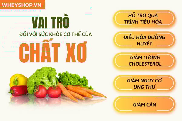 Việc nạp chất xơ vào cơ thể sẽ mang lại rất nhiều lợi ích