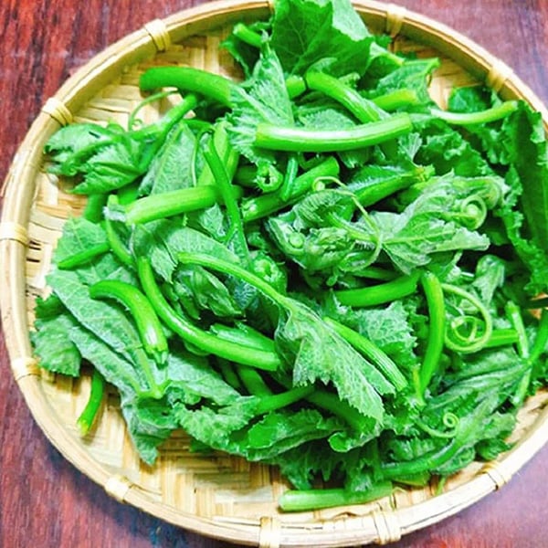 Ngọn bí luộc giảm cân