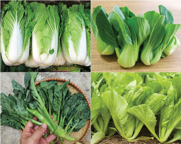 Rau cải