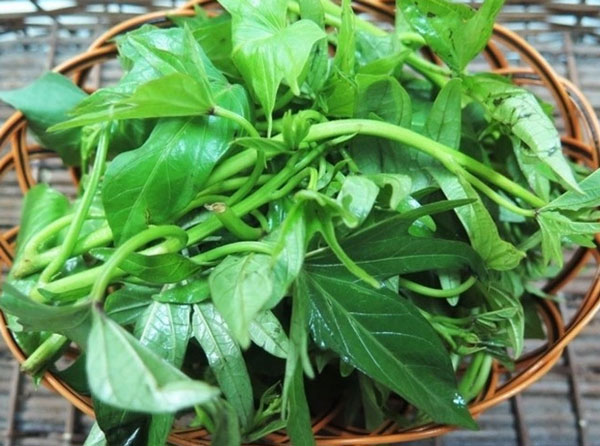Rau lang nhiều chất xơ