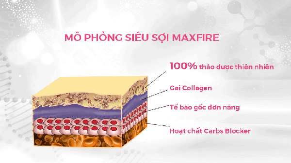 Siêu sợi Maxfire