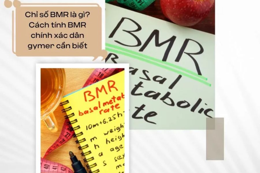 Thực đơn giảm cân 30 ngày hiệu quả