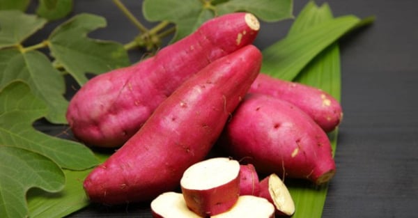 Những củ khoai lang