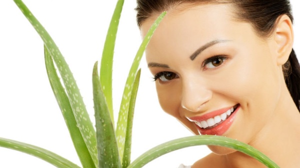 Công thức trẻ hóa da từ nha đam và dầu ô liu