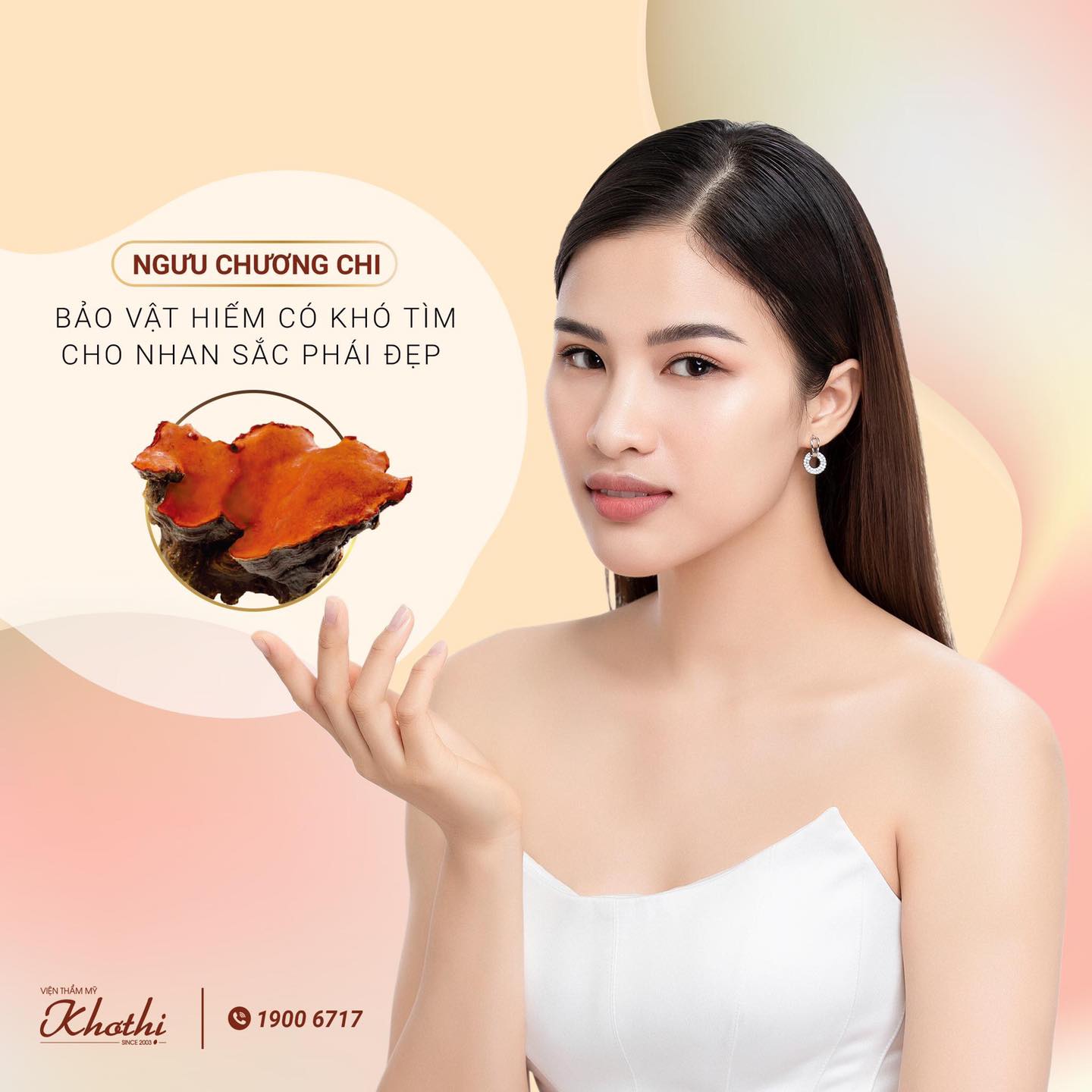 Nấm Ngưu Chương Chi - Bảo vật hiếm có cho nhan sắc phái đẹp Nấm Ngưu Chương Chi - Bảo vật hiếm có cho nhan sắc phái đẹp