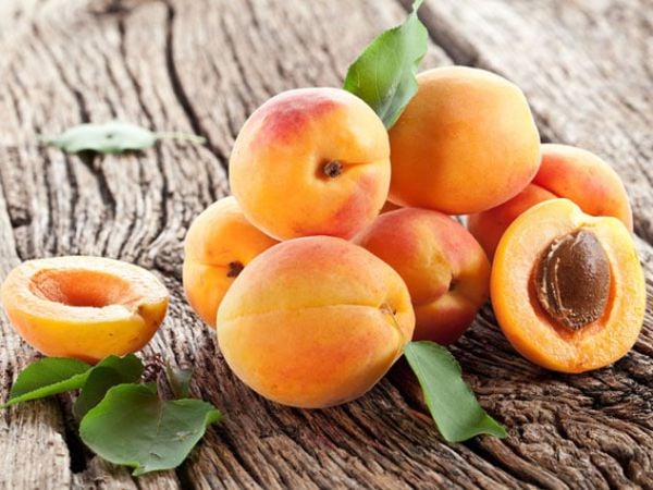 Mơ chứa nhiều nguyên tố vi lượng tốt cho sức khỏe và giúp giảm cân an toàn