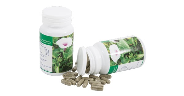 Viên uống giảm cân rau muống có thực sự hiệu quả