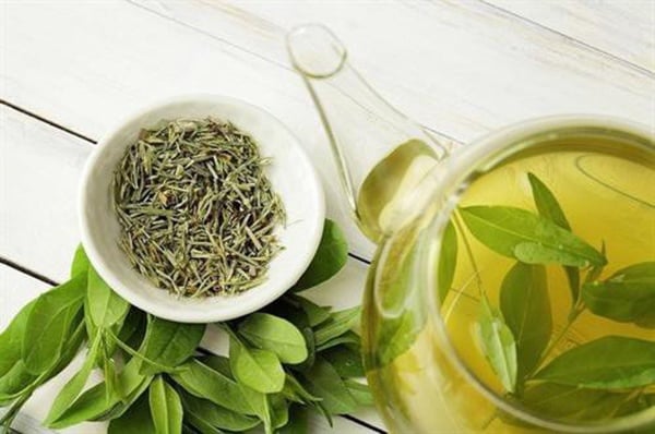 Lá trà xanh còn giúp giảm quầng thâm ở mắt và chống nắng hiệu quả