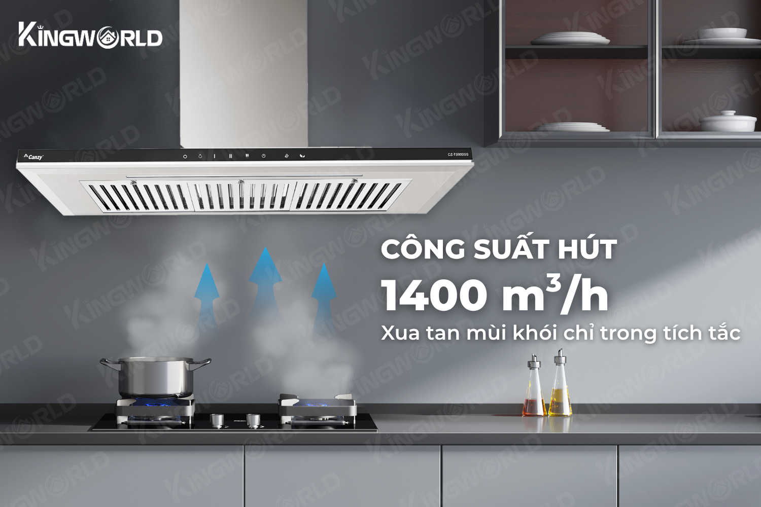 Máy hút mùi chữ T Canzy CZ TS700SS