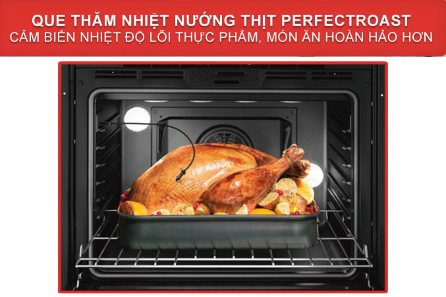 Que thăm nhiệt có 3 điểm đo độ nhạy cao, tự động xác định chính xác nhiệt độ lõi