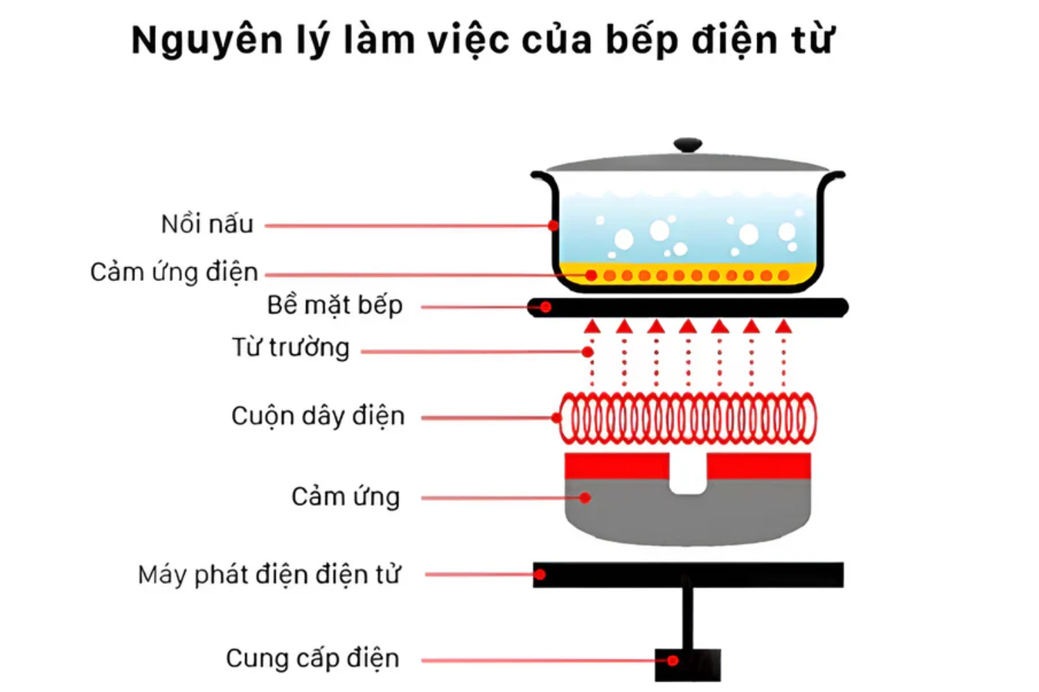Nguyên lý hoạt động của bếp từ đôi Bosch dựa trên hiện tượng cảm ứng điện từ
