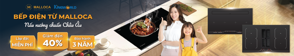 Bếp Điện Từ Malloca