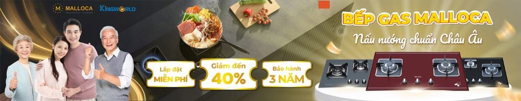 Bếp Gas Malloca