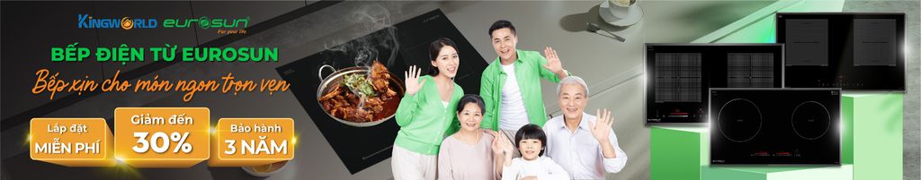 Bếp Điện Từ