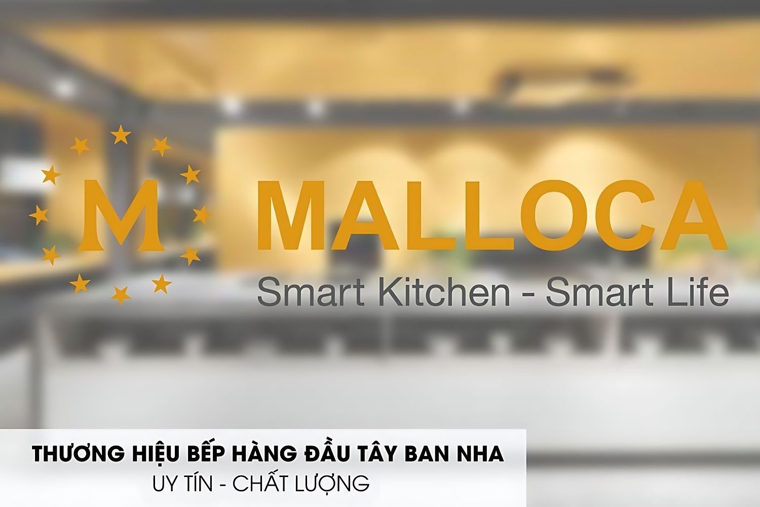 Tổng quan về thương hiệu Malloca