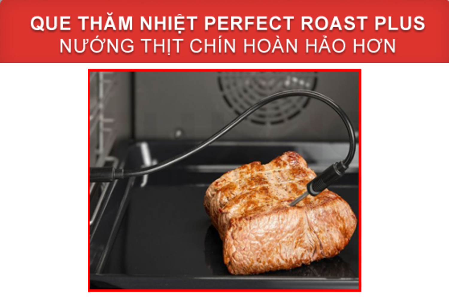 Que thăm nhiệt PerfectRoast giúp bạn nướng các loại thịt lớn chín hoàn hảo