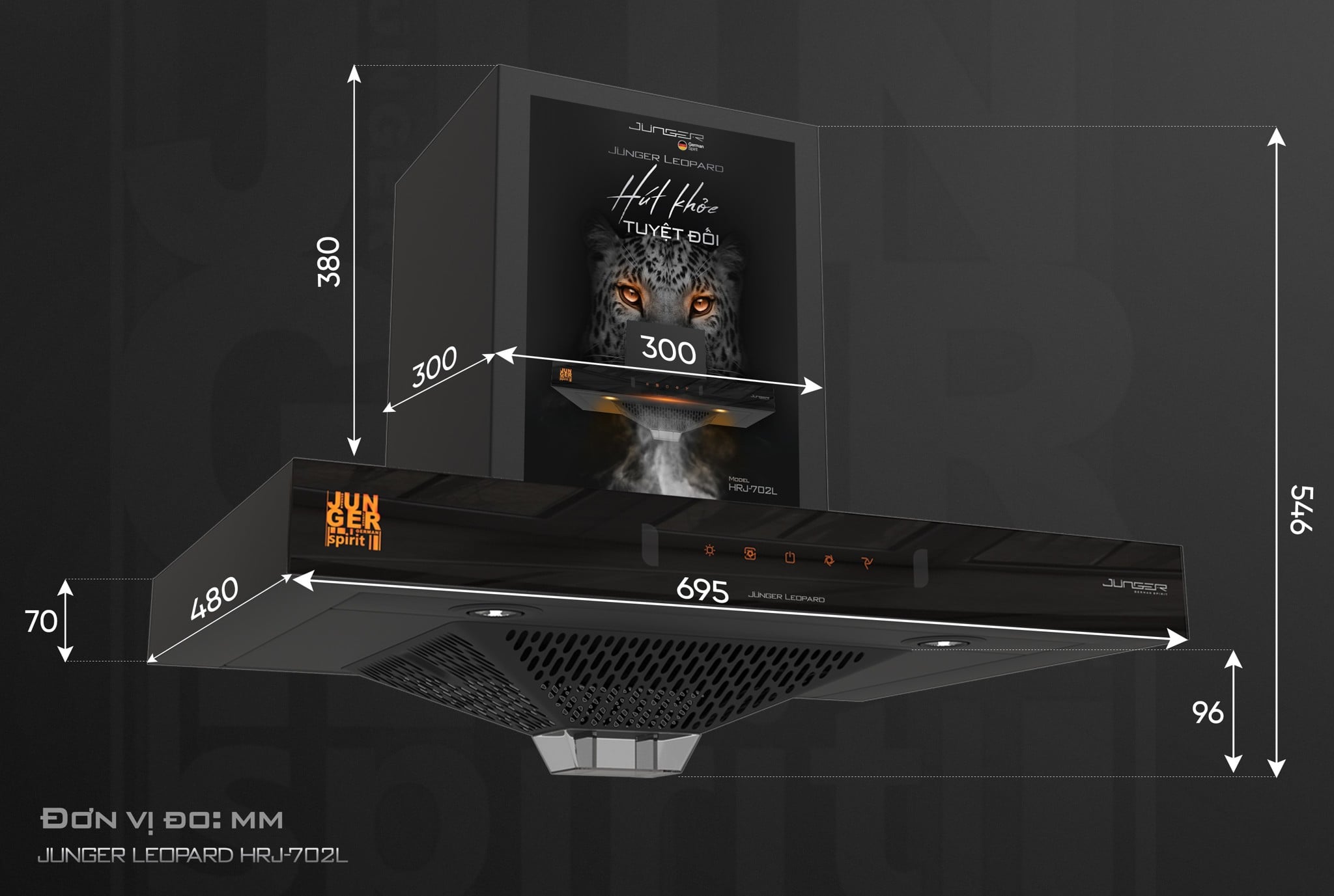 Kiểu dáng và kích thước