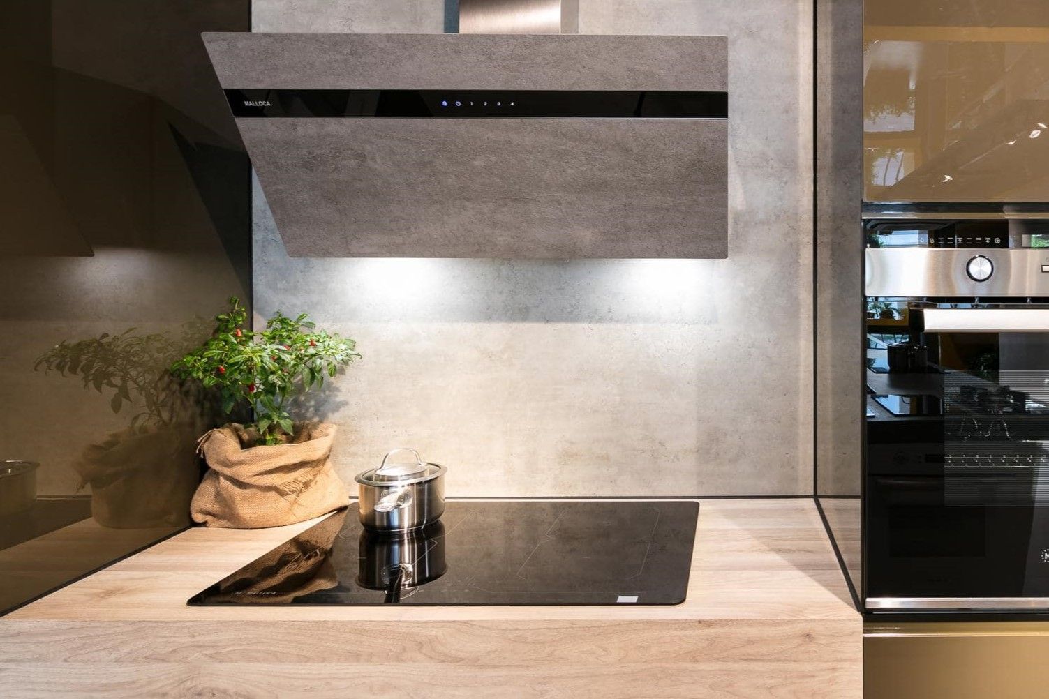 đặc điểm Malloca