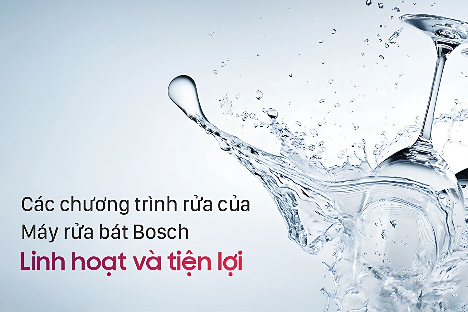 Máy rửa bát Bosch Series 8 có thể tích hợp lên tới 10 chương trình rửa