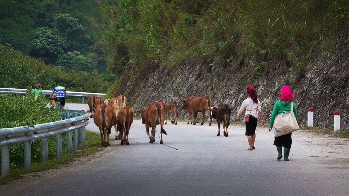FROM HANOI TO LUANG PRABANG: A 12-DAY CYCLING JOURNEY THROUGH THE HEART OF INDOCHINA