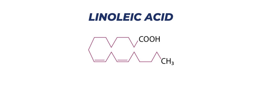 Axit linoleic (LA) là gì? Lợi ích, liều lượng và tác dụng phụ