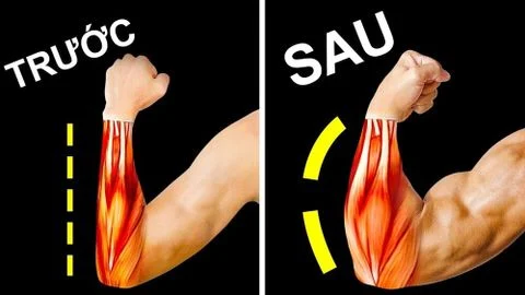 14 bài tập cẳng tay rắn chắc, to khỏe tốt nhất cho nam giới