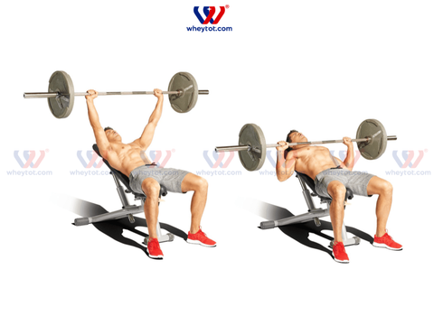 Bench Press là gì? Cách tập chuẩn giúp cơ ngực phát triển hiệu quả