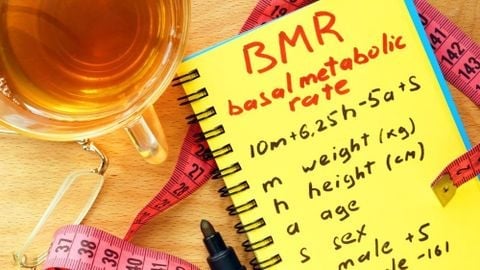 Chỉ số BMR là gì? Cách tính BMR chuẩn xác để tăng cân, giảm cân hiệu quả