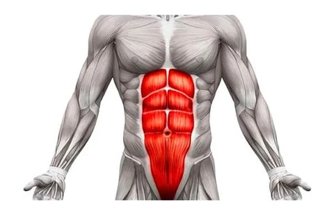 10 Bài tập cơ bụng 6 múi nhanh nhất tại nhà cho nam
