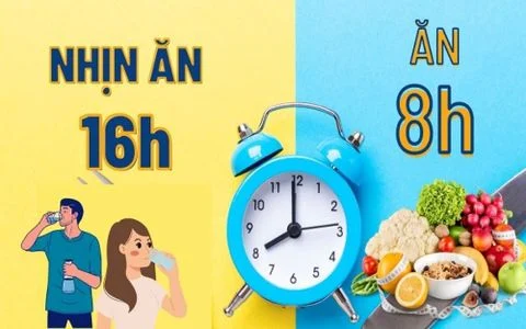 Chế độ ăn 16/8 là gì? Hướng dẫn nhịn ăn gián đoạn giảm cân hiệu quả cao