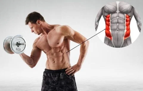 10 bài tập cơ liên sườn giúp sở hữu vóc dáng thon gọn, đẹp mắt