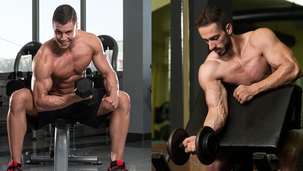 Concentration Curl: Hướng dẫn tập đúng cách và sai lầm thường gặp