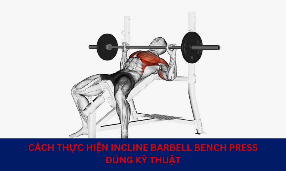 Kỹ thuật tập cơ ngực Incline Barbell Bench Press cho người mới