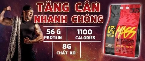 Top 5 sữa mass tăng cân nhanh cho nữ tốt nhất hiện nay