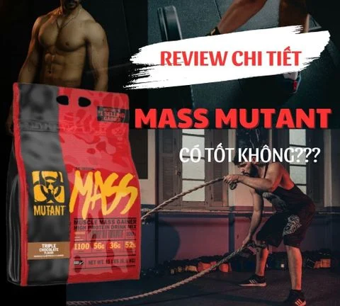 Review đánh giá chân thực về Mutant Mass có tốt không?