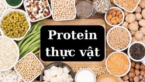 Protein thực vật hay protein động vật tốt? 9 nguồn đạm thực vật tốt cho sức khỏe