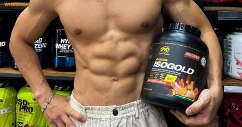 PVL Iso Gold có tốt không, whey isolate có lợi khuẩn