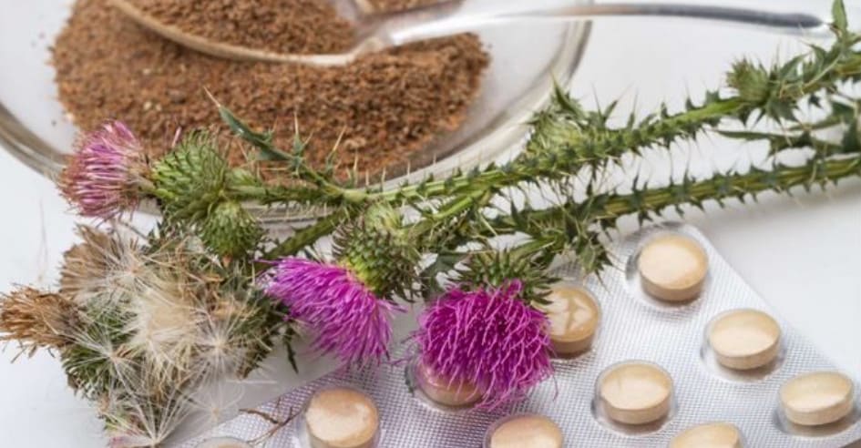 Silymarin là gì? Cơ chế, lợi ích và cách uống bảo vệ gan hiệu quả