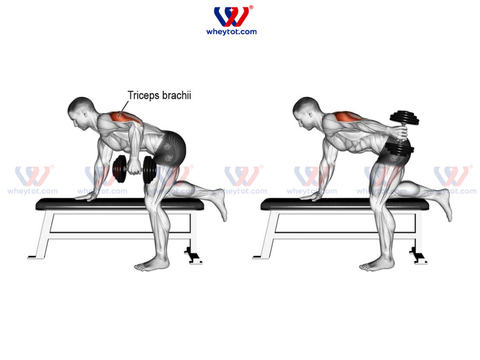 10 bài tập tay sau tốt nhất cho nam giúp sở hữu cơ tay vạm vỡ, khỏe khoắn