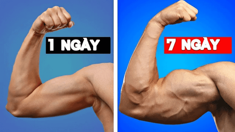 Gợi ý 9 bài tập tay trước cho nam to khỏe, săn chắc dễ thực hiện