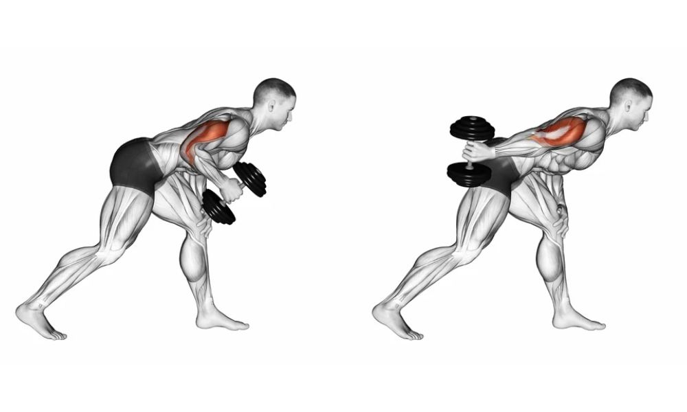 Hướng dẫn thực hiện Tricep Dumbbell Kickbacks đúng chuẩn, chi tiết