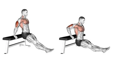 Triceps dip là gì? 5 bài tập Triceps hiệu quả giúp tay sau to khỏe