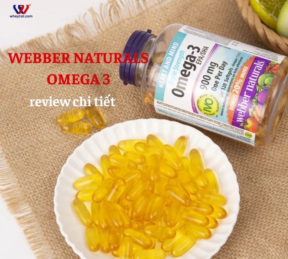 Review chi tiết và đầy đủ Webber Naturals Omega 3 có tốt không?